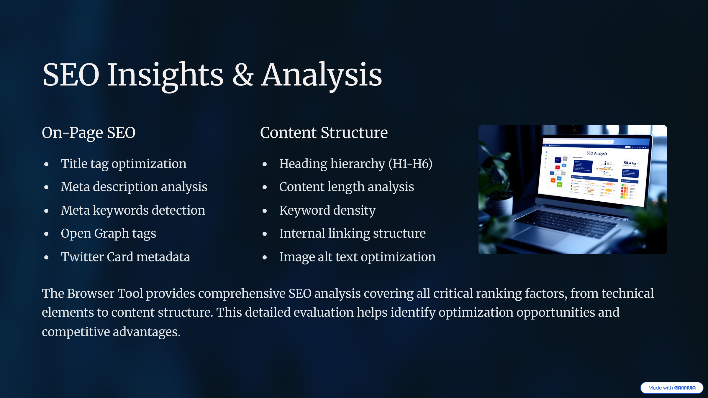 SEO Insights & Analysis